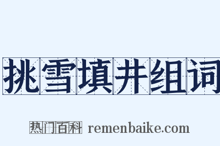 挑雪填井组词是什么意思的图片